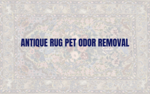 Antique Rug Pet Odor Removal